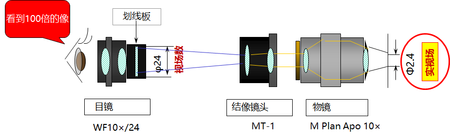 实视场-2.png