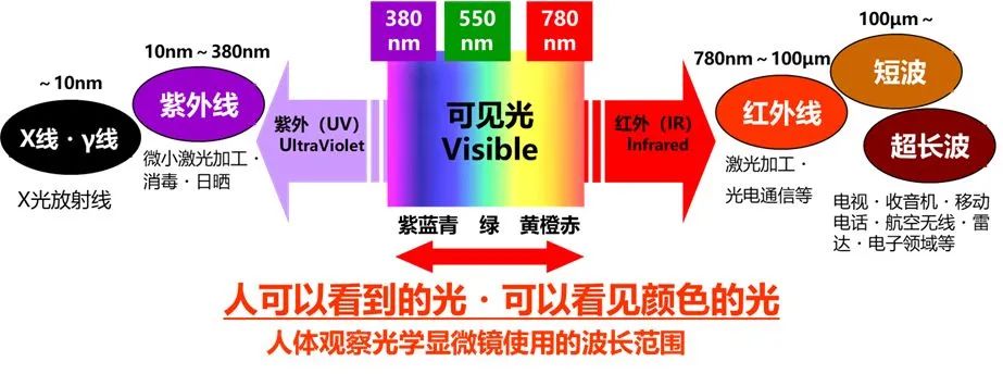 显微镜的观察方式.jpg