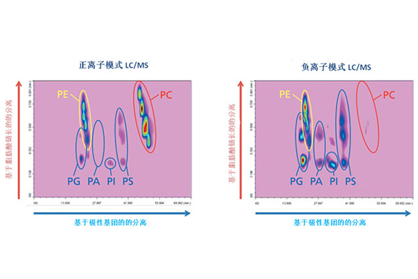 离子模式.jpg