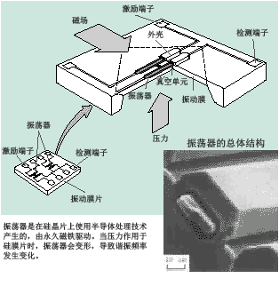 MC100-1.gif