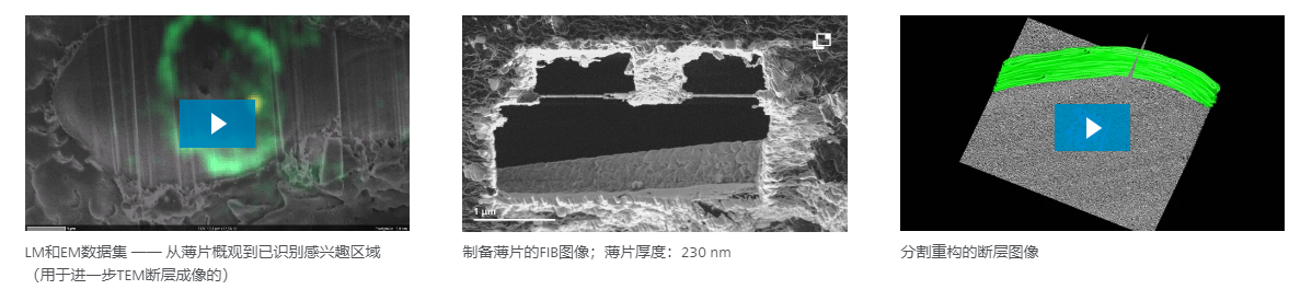 冷冻TEM薄片制备和冷冻体积成像的解决方案-11.png